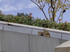 -UNIUNI(凯瑟琳广场店)