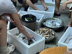 -枸杞岛