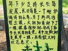 -前小桔亲子创意农场·草莓采摘·露营烧烤