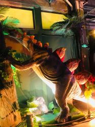 -恐龙探索乐园(磁器口店)