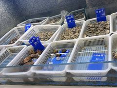 -赶海部落海鲜城(海阳路店)