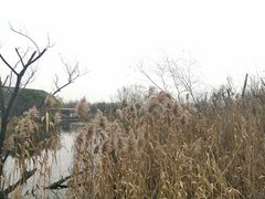 -西湖风景区-江洋畈生态公园
