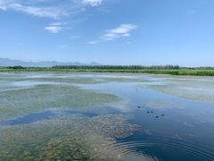 -野鸭湖国家湿地公园