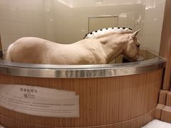 -海澜飞马水城