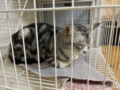 -Xian鲜趣人生(青湖印象名邸店)