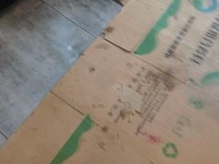 -狮龙啤酒烧烤屋(建二路店)