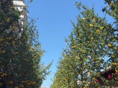 -中国宜宾·长江地标广场