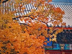 -香山公园