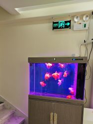 -海涛医疗美容·面部抗衰·注射美鼻