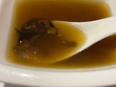 -菌自在·云南野生菌火锅(长安万达店)