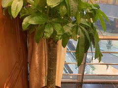 -金时代顺风大酒店(金山店)