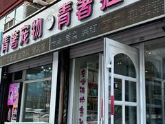 -青奢宠物·青奢猫舍