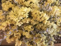 -L.C FLORA花予你(城西银泰城店)