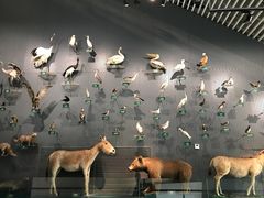 -中国湿地博物馆
