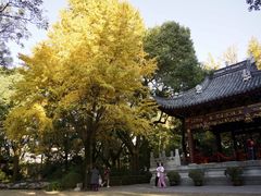 -汇龙潭