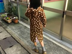 -城崎温泉 外七汤