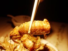 -日丰园海肠水饺·老字号大连海鲜(和平广场店)