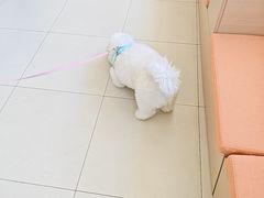 -美迦爱-牙专科·兔科·骨科诊疗中心(北苑店)