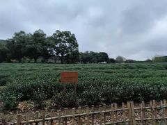 -中国茶叶博物馆(双峰馆区)
