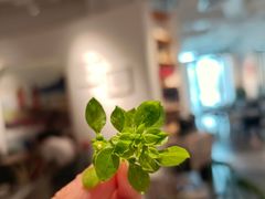 -灵意咖啡·西班牙美食(汕头金平万达广场店)