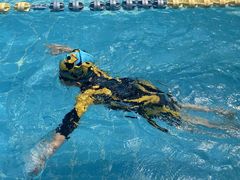 -奇缘游泳培训基地(辰茂店)