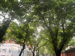 -中山大学广州校区南校园怀士堂