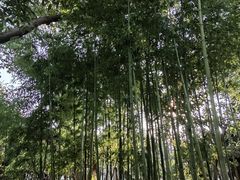 -豫园