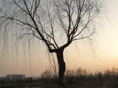 -东郊湿地公园
