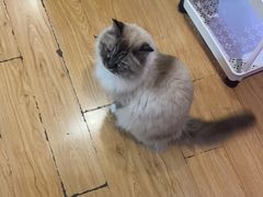 -剧狐剧本杀·月球探案馆(人民广场1号店)