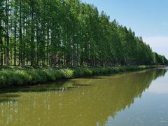 -黄海国家森林公园