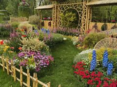 -上海共青森林公园