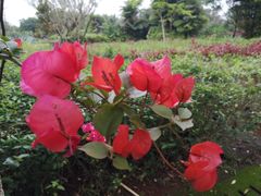 -白沙门生态公园