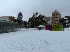 -金泽21世纪美术馆