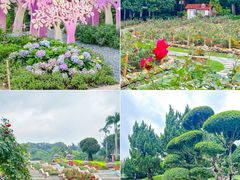 -广州市白云山风景名胜区