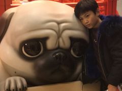 -赤坂亭·M9和牛烧肉·铁板烧(合肥万象城店)