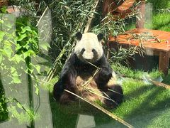 -鄂尔多斯野生动物园