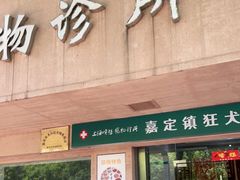-顺强宠物诊所·狂犬免疫·夜诊·骨科(嘉定店)