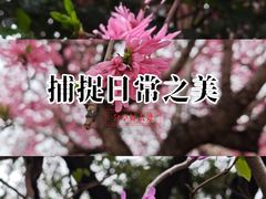 -西湖文化广场