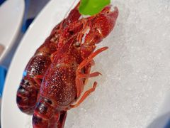 冰醉梅香小龙虾-二十四单 淮扬新味