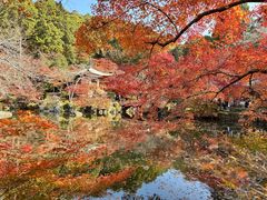 -醍醐寺