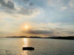 -上海市保健医疗中心