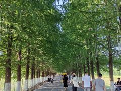 -嘉北郊野公园