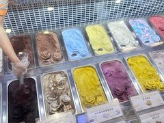 -iceason爱茜茜里·意大利健康冰淇淋(骑龙巷店)