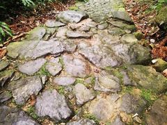 -福清灵石山国家森林公园