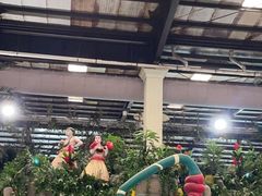 -南宫温泉水世界