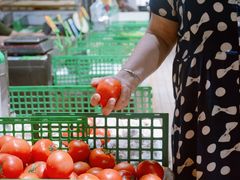 -福田农产品批发市场有限公司蔬菜交易区