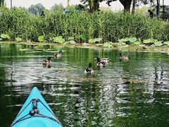 -WhaleSports户外水上运动俱乐部(朝阳公园店)