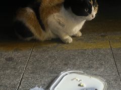 -便利蜂(广安门内大街319号店)