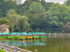 -绵阳人民公园(涪城区)