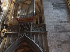 -斯蒂芬主教座堂(Stephansdom)